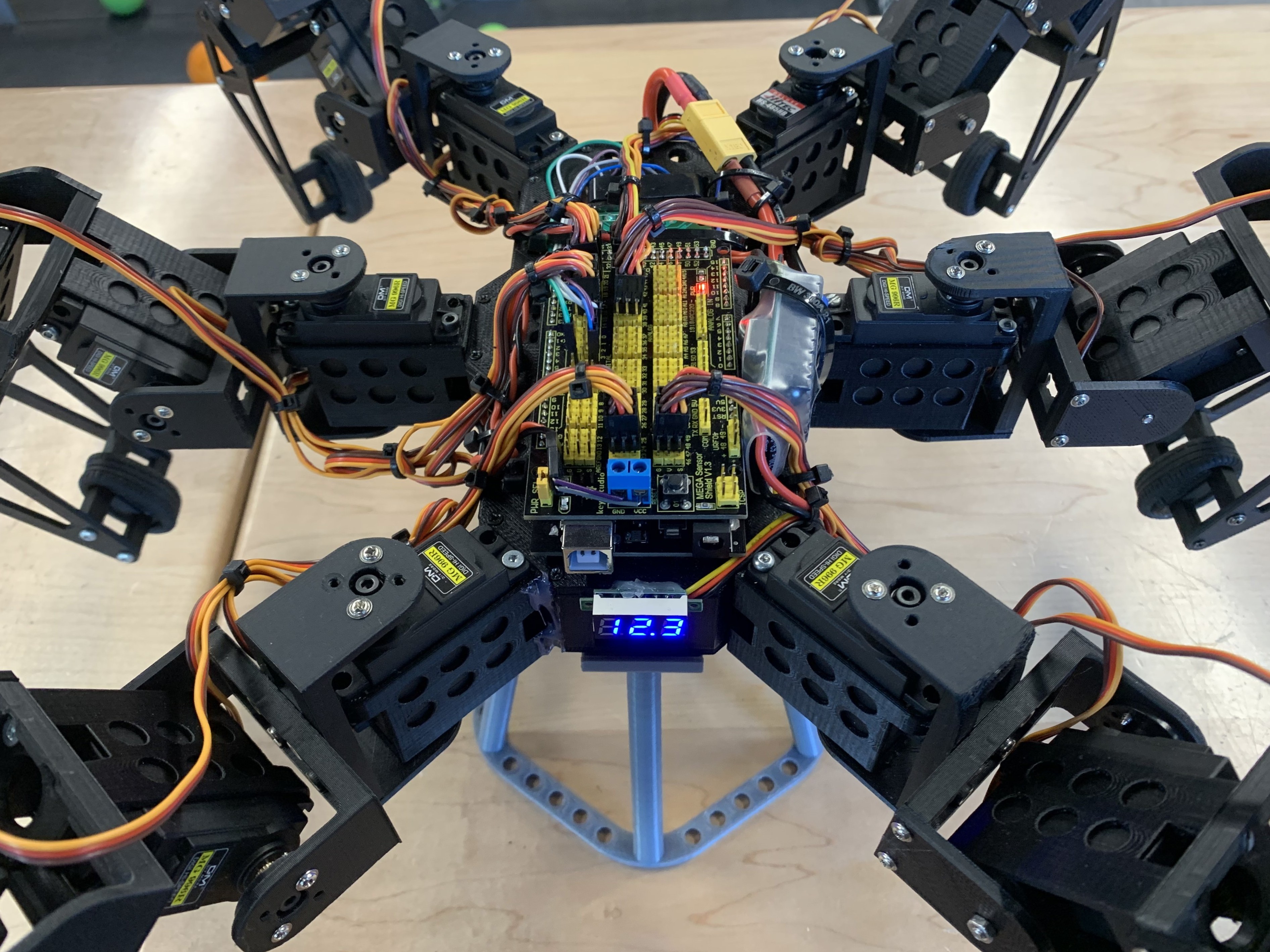 Hexapod robot close-up wiring assembly on the workbench